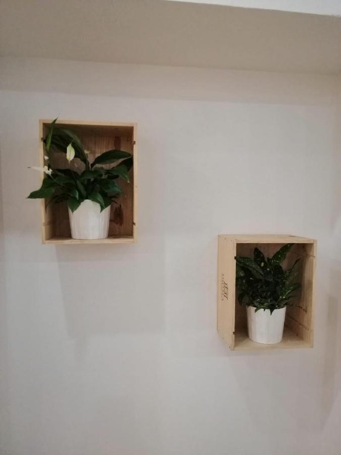 Luna De Noviembre Apartamento